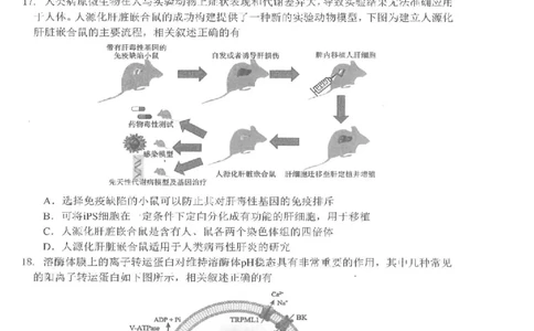 江苏省决胜新高考2024届高三上学期10月大联考生物(1)_2023年10月_01每日更新_16号_2024届江苏省决胜新高考高三上学期10月大联考
