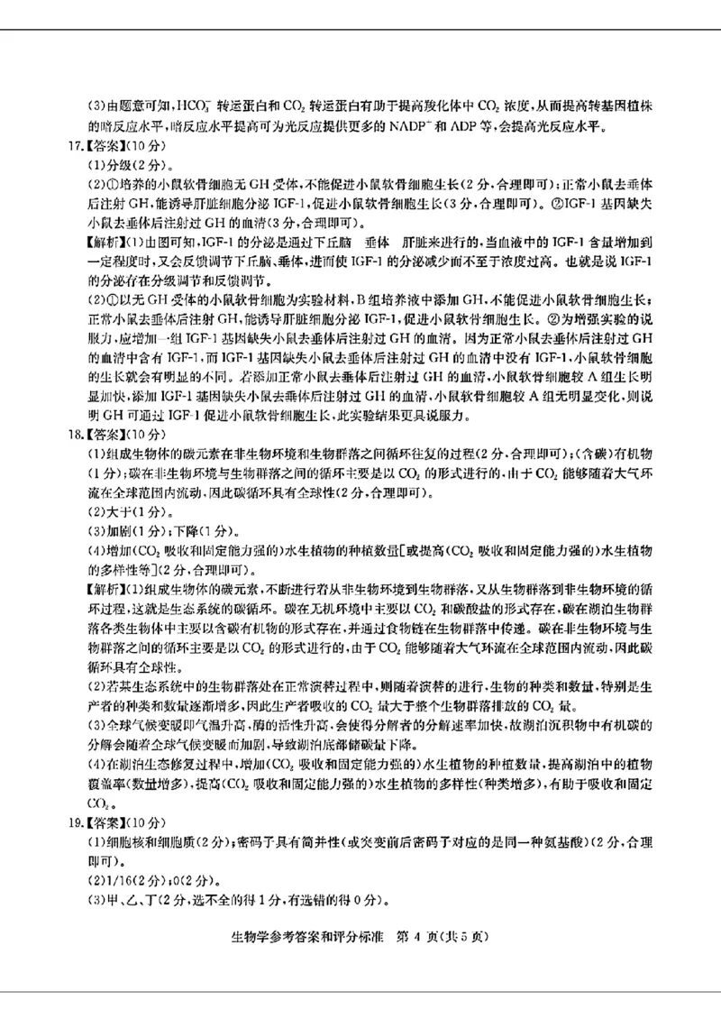 2024届华大新高考联盟高三4月联考-生物+答案(1)_2024年4月_024月合集_2024届华大新高考联盟高三4月联考