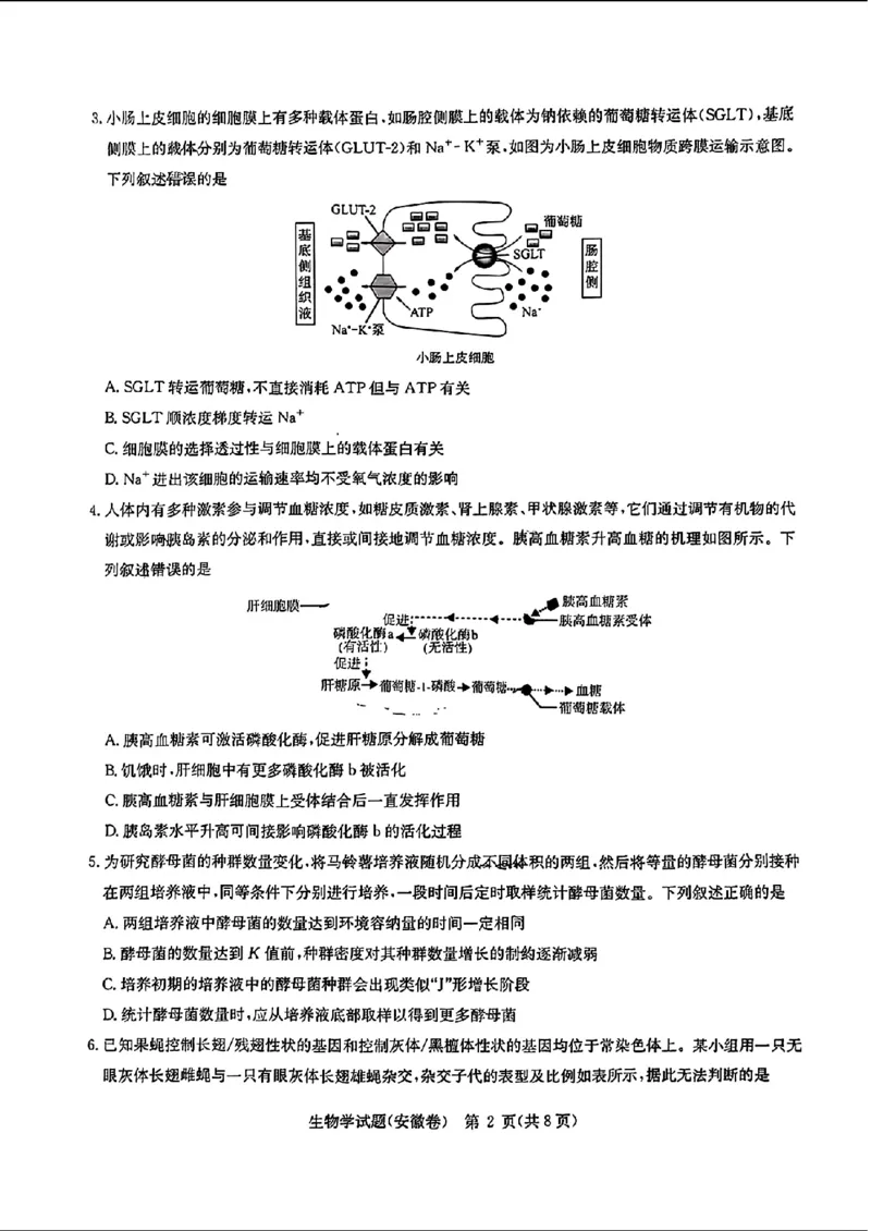 2024届华大新高考联盟高三4月联考-生物+答案(1)_2024年4月_024月合集_2024届华大新高考联盟高三4月联考