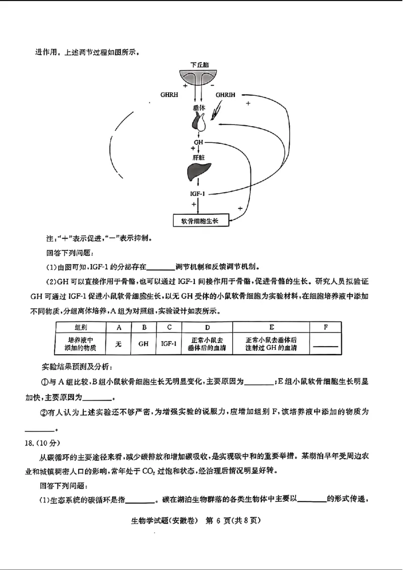 2024届华大新高考联盟高三4月联考-生物+答案(1)_2024年4月_024月合集_2024届华大新高考联盟高三4月联考