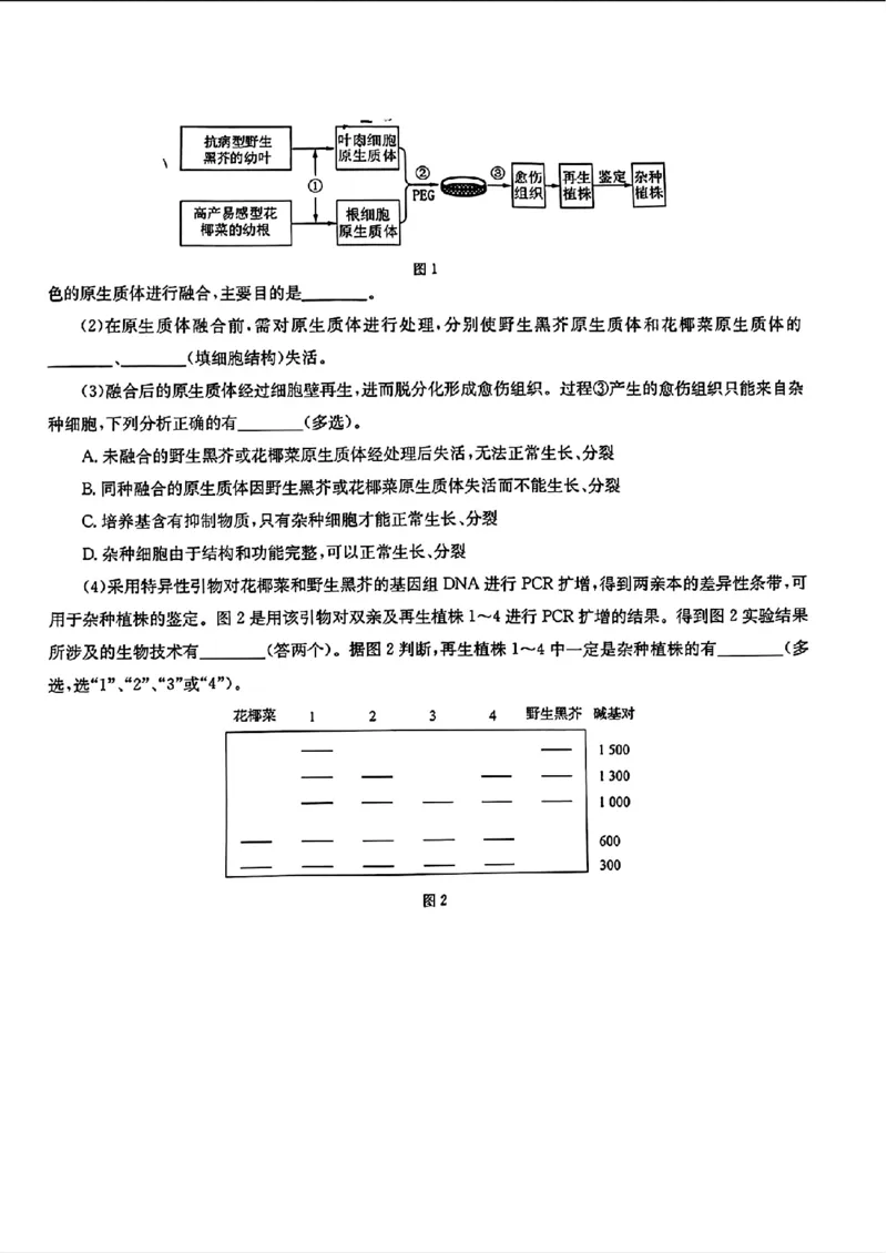 2024届华大新高考联盟高三4月联考-生物+答案(1)_2024年4月_024月合集_2024届华大新高考联盟高三4月联考