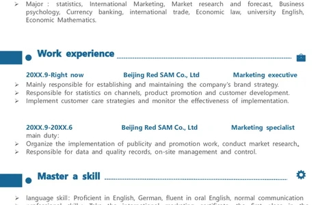 2高端简洁英文CV简历(58)_各类简历_简历模板(1)_英文简历模版86套2025版_