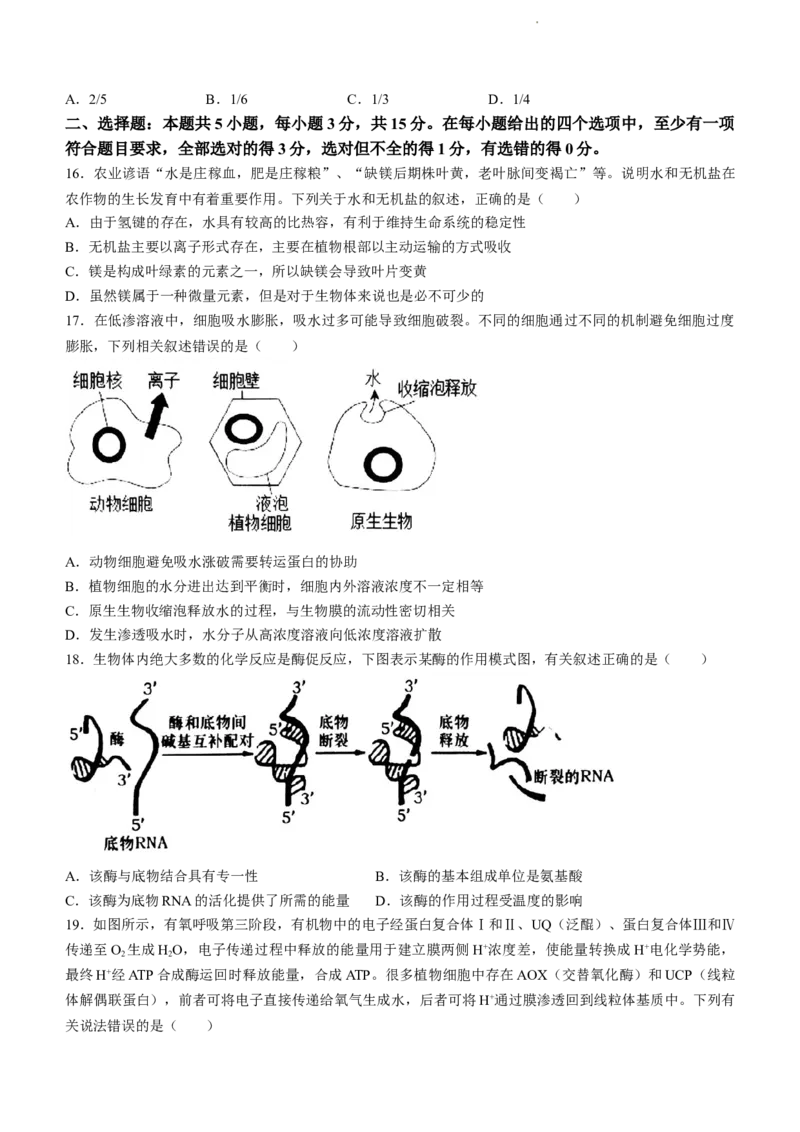 辽宁省锦州市渤海大学附属高级中学2024届高三上学期第二次考试生物(1)_2023年10月_01每日更新_14号_2024届辽宁省锦州市渤海大学附属高级中学高三上学期第二次考试