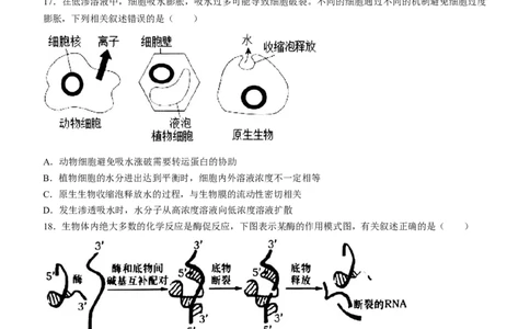 辽宁省锦州市渤海大学附属高级中学2024届高三上学期第二次考试生物(1)_2023年10月_01每日更新_14号_2024届辽宁省锦州市渤海大学附属高级中学高三上学期第二次考试