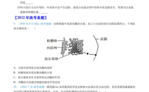 专题02细胞的结构和功能-五年（2019-2023）高考生物真题分项汇编（全国通用）（原卷版）_赠送：2008-2024全套高考真题_高考生物真题