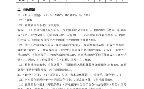 生物参考答案(1)_2023年10月_0210月合集_2024届河南省焦作市博爱县第一中学高三上学期10月月考_河南省焦作市博爱县第一中学2024届高三上学期10月月考生物
