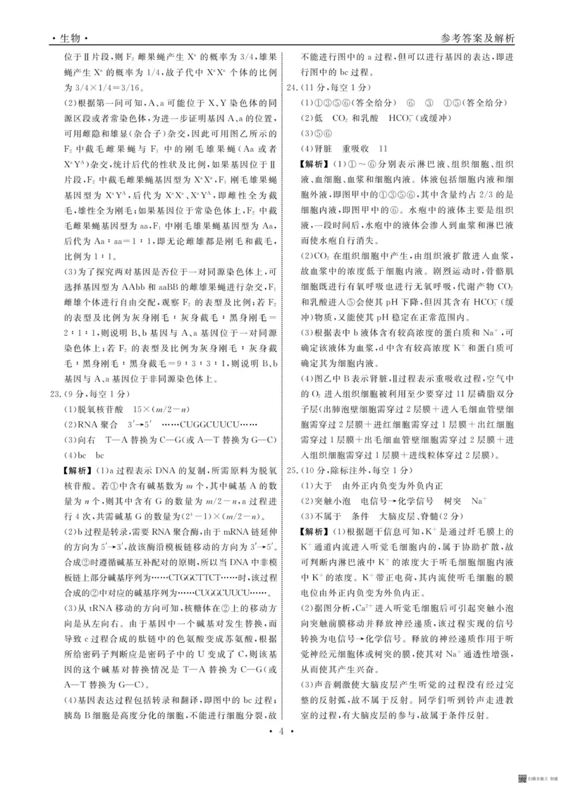 辽宁省名校联盟2023-2024学年高二上学期9月联合考试生物答案_2023年9月_01每日更新_11号_高二2024辽宁省名校联盟高二上学期9月联合考试