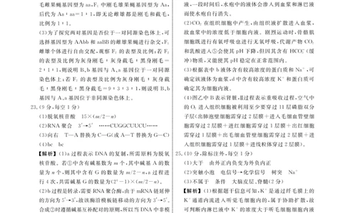 辽宁省名校联盟2023-2024学年高二上学期9月联合考试生物答案_2023年9月_01每日更新_11号_高二2024辽宁省名校联盟高二上学期9月联合考试