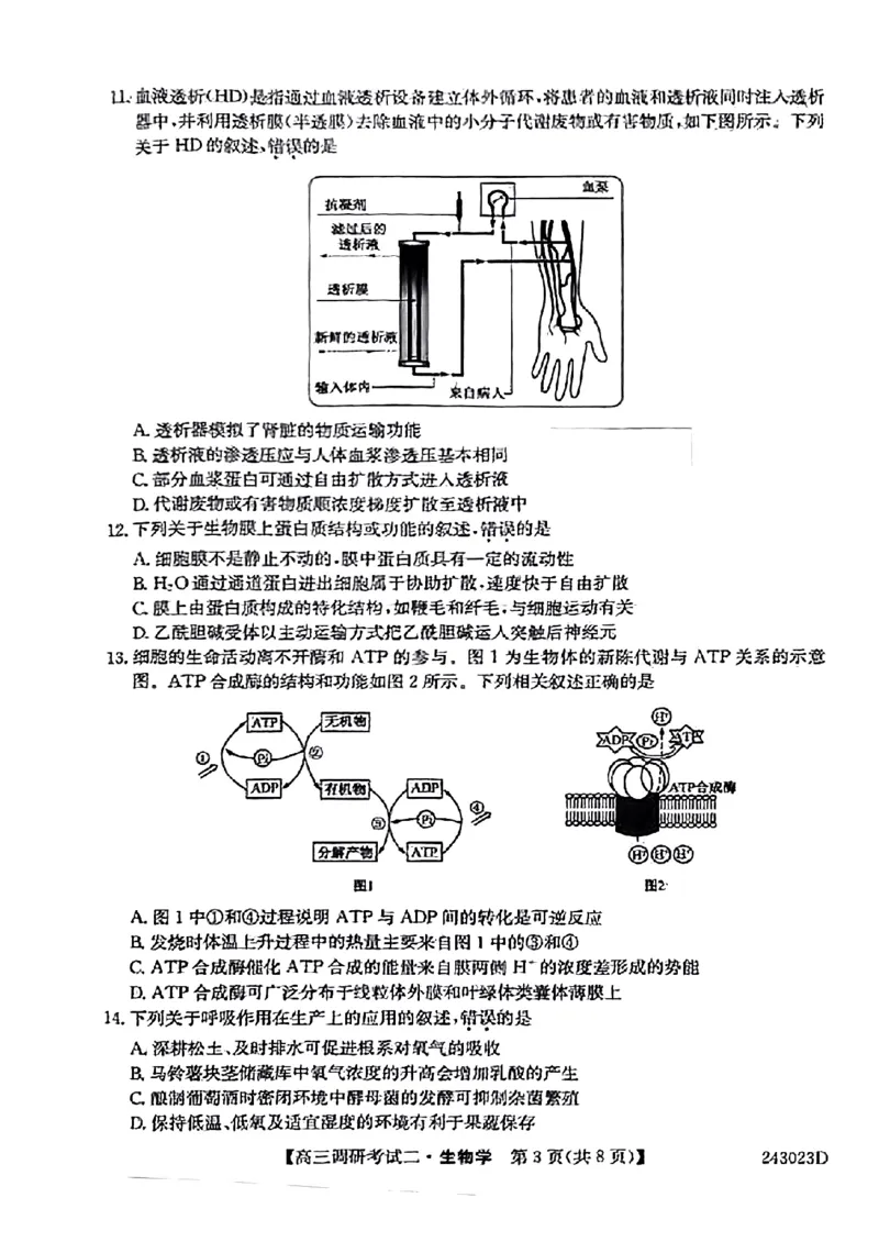 河南省TOP二十名校2023-2024学年高三上学期9月调研考试二生物试题_2023年9月_01每日更新_14号_2024届河南省TOP二十名校高三上学期调研考试（二）