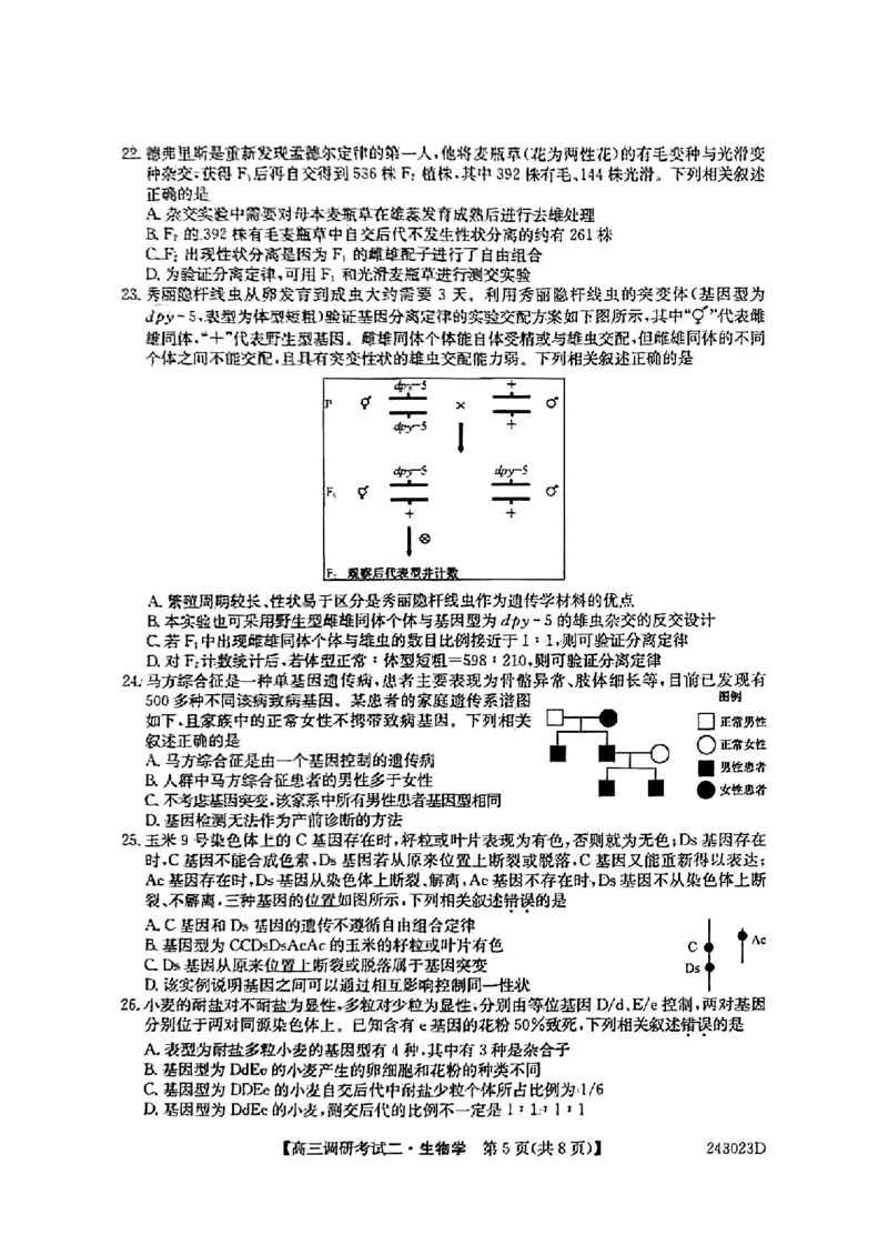 河南省TOP二十名校2023-2024学年高三上学期9月调研考试二生物试题_2023年9月_01每日更新_14号_2024届河南省TOP二十名校高三上学期调研考试（二）
