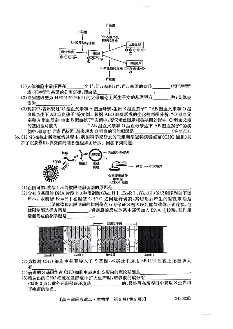 河南省TOP二十名校2023-2024学年高三上学期9月调研考试二生物试题_2023年9月_01每日更新_14号_2024届河南省TOP二十名校高三上学期调研考试（二）