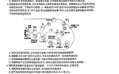 河南省TOP二十名校2023-2024学年高三上学期9月调研考试二生物试题_2023年9月_01每日更新_14号_2024届河南省TOP二十名校高三上学期调研考试（二）