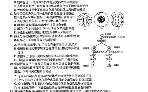 河南省TOP二十名校2023-2024学年高三上学期9月调研考试二生物试题_2023年9月_01每日更新_14号_2024届河南省TOP二十名校高三上学期调研考试（二）