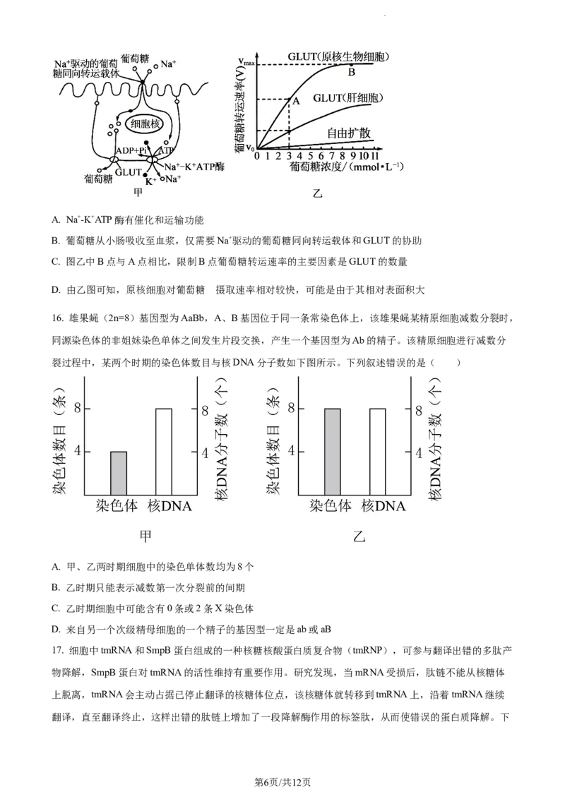 精品解析：江苏省淮安市6校2023-2024学年高三10月月考生物试题（原卷版）(1)_2023年10月_0210月合集_2024届江苏省淮安市五校联盟高三上学期10月学情调查测试