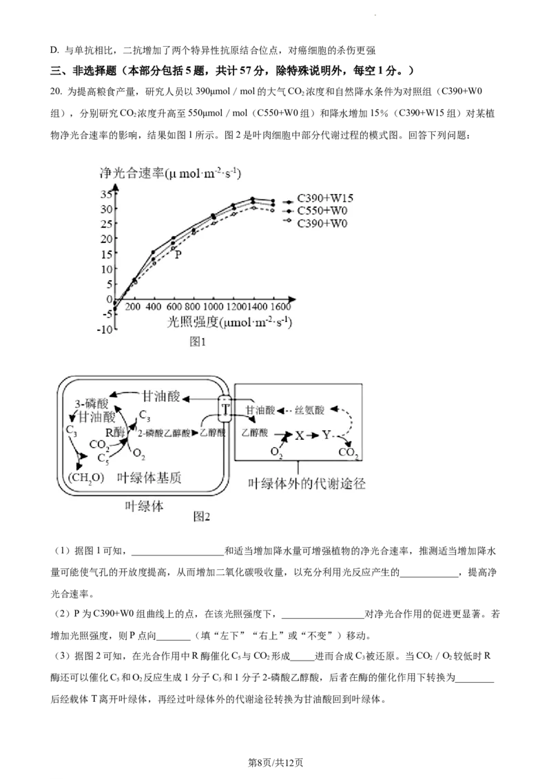 精品解析：江苏省淮安市6校2023-2024学年高三10月月考生物试题（原卷版）(1)_2023年10月_0210月合集_2024届江苏省淮安市五校联盟高三上学期10月学情调查测试