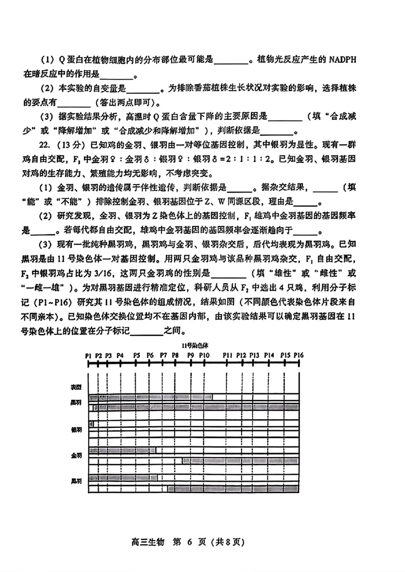 2024届山东潍坊5月高考模拟考试(潍坊三模)生物试卷+答案_2024年5月_01按日期_28号_2024届山东潍坊5月高考模拟考试(潍坊三模)