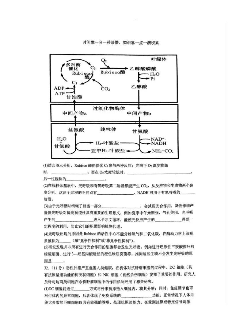 2023-2024学年第二学期晋城一中高三开学考理综试题_2024年3月_013月合集_2024届山西省晋城市第一中学校高三下学期开学考试