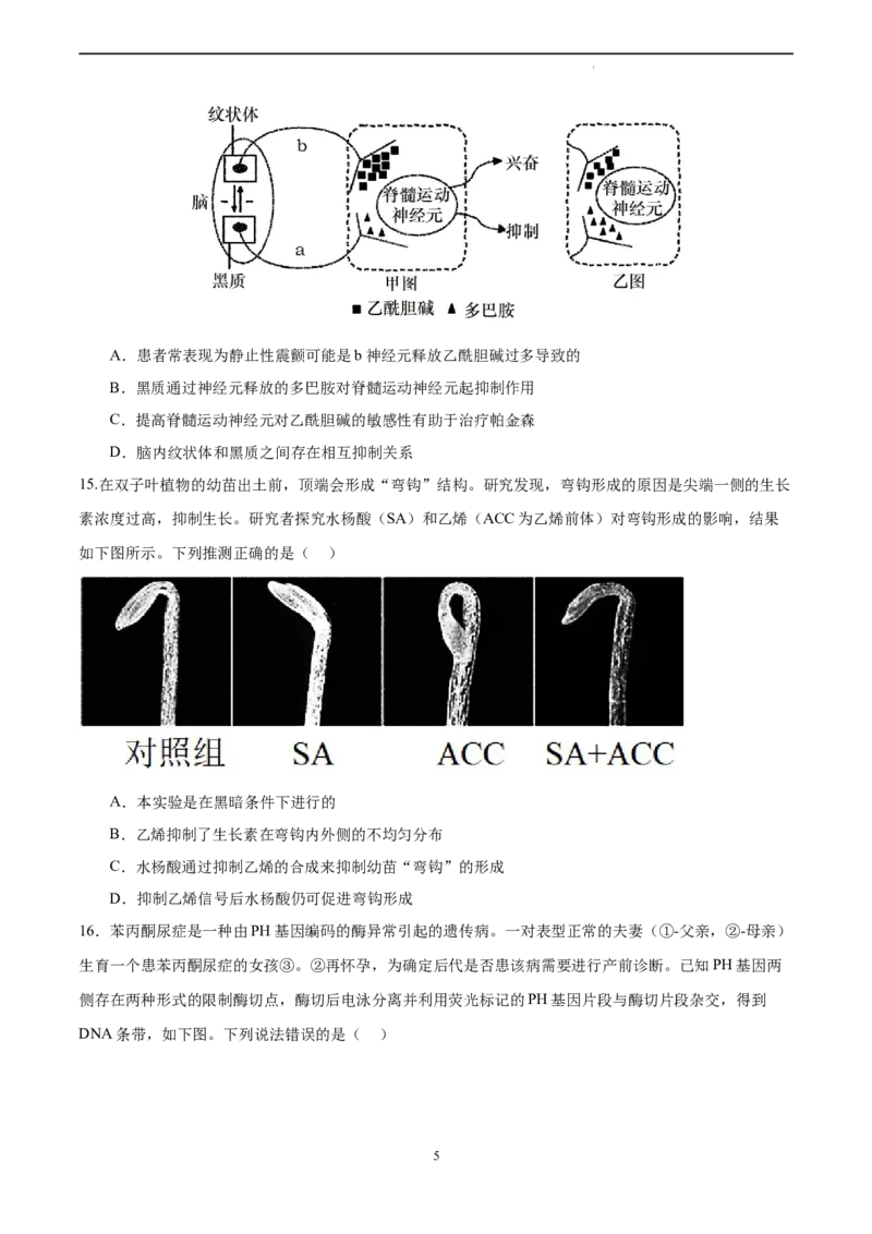 生物（广东卷）（考试A4版）_2023高考押题卷_学易金卷-2023学科网押题卷（各科各版本）_2023学科网押题卷-学易金卷-生物_生物（广东卷）-学易金卷：2023年高考考前押题密卷