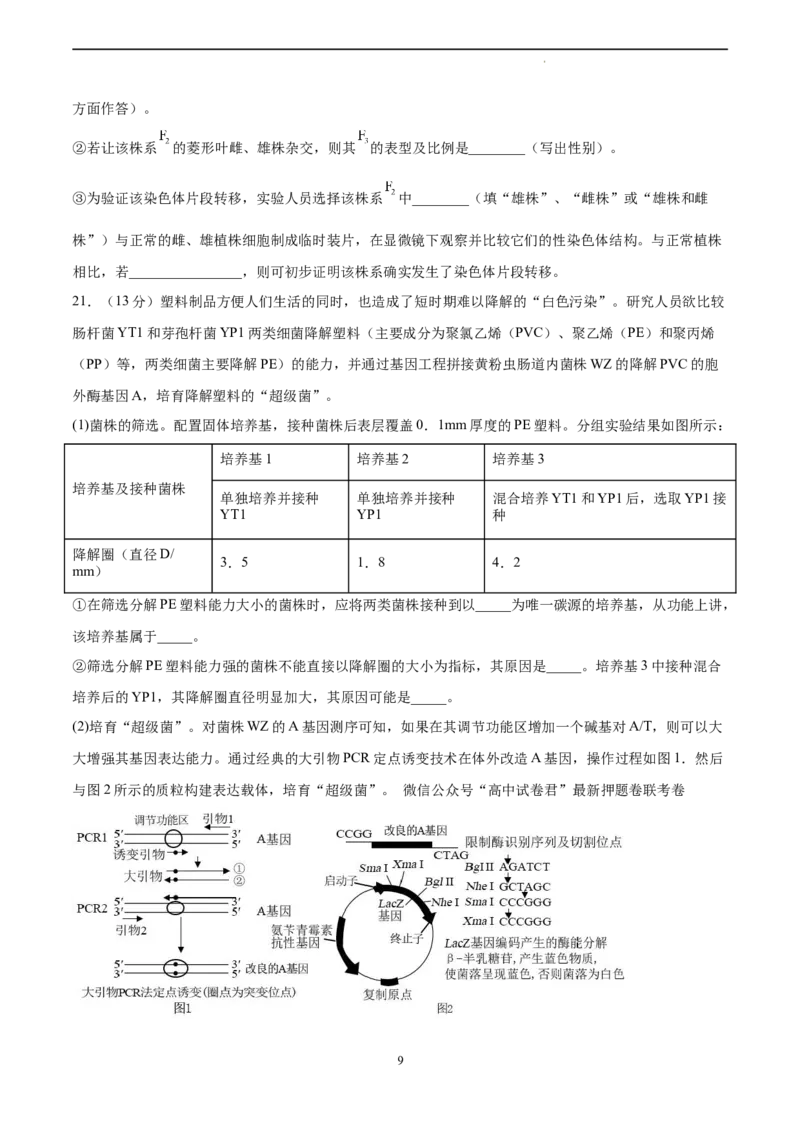 生物（广东卷）（考试A4版）_2023高考押题卷_学易金卷-2023学科网押题卷（各科各版本）_2023学科网押题卷-学易金卷-生物_生物（广东卷）-学易金卷：2023年高考考前押题密卷