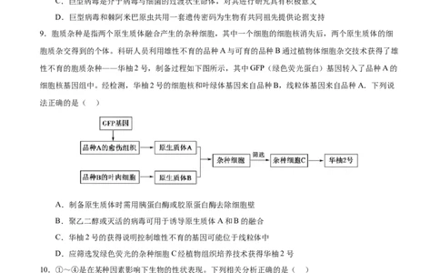 生物（广东卷）（考试A4版）_2023高考押题卷_学易金卷-2023学科网押题卷（各科各版本）_2023学科网押题卷-学易金卷-生物_生物（广东卷）-学易金卷：2023年高考考前押题密卷