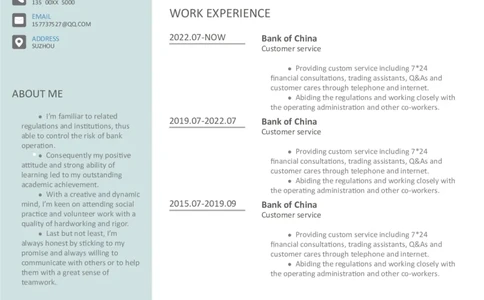 2高端简洁英文CV简历(62)_各类简历_简历模板(1)_英文简历模版86套2025版_