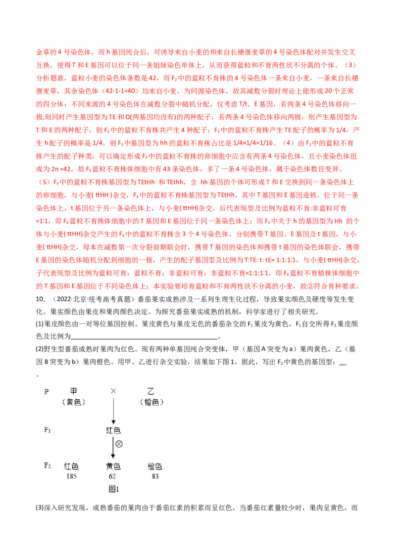 专题12基因的自由组合定律（解析卷）_近10年高考真题汇编（必刷）_十年（2014-2024）高考生物真题分项汇编（全国通用）_十年（2014-2023）高考生物真题分项汇编（全国通用）