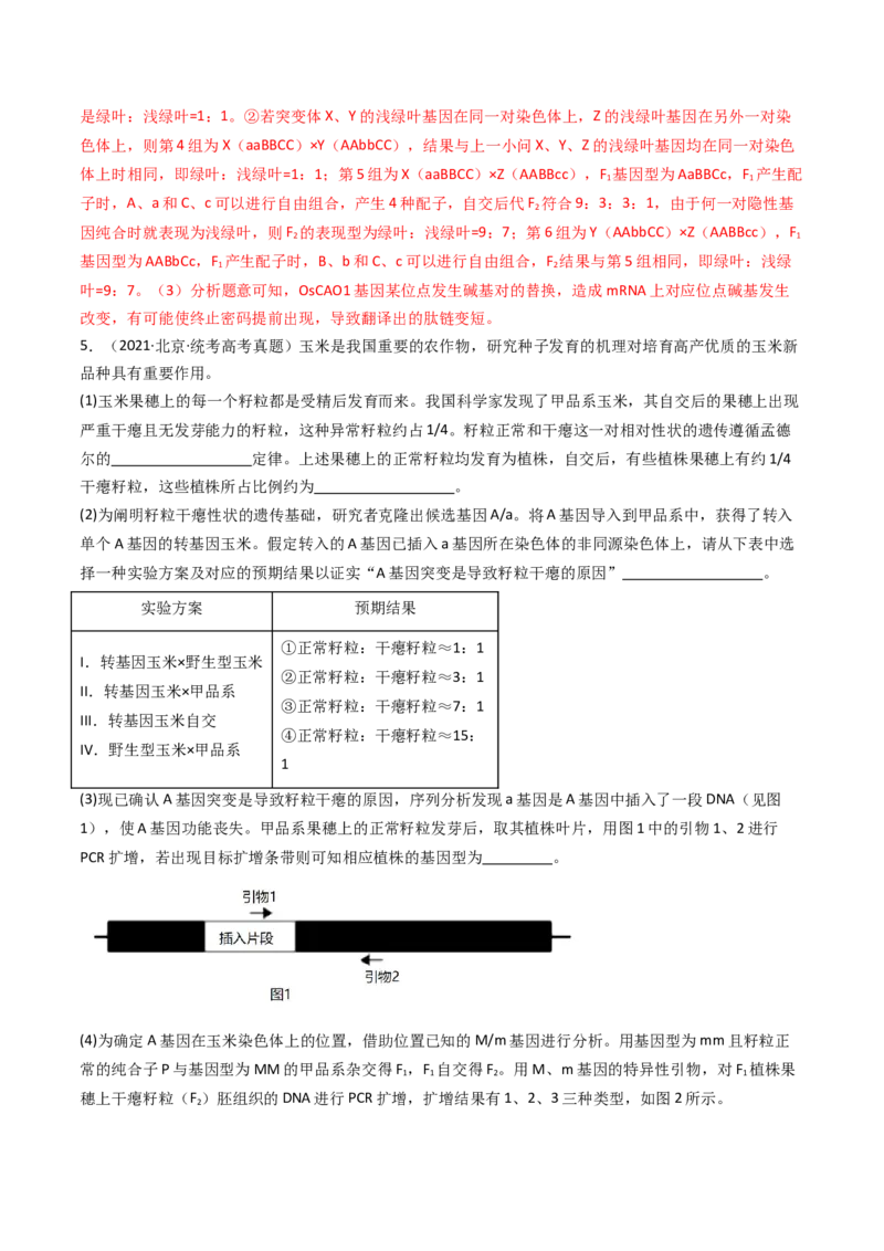 专题12基因的自由组合定律（解析卷）_近10年高考真题汇编（必刷）_十年（2014-2024）高考生物真题分项汇编（全国通用）_十年（2014-2023）高考生物真题分项汇编（全国通用）