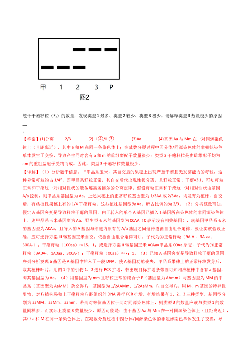 专题12基因的自由组合定律（解析卷）_近10年高考真题汇编（必刷）_十年（2014-2024）高考生物真题分项汇编（全国通用）_十年（2014-2023）高考生物真题分项汇编（全国通用）