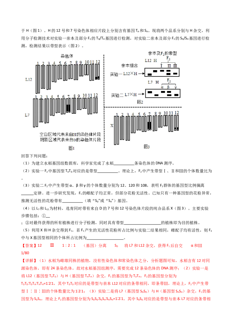 专题12基因的自由组合定律（解析卷）_近10年高考真题汇编（必刷）_十年（2014-2024）高考生物真题分项汇编（全国通用）_十年（2014-2023）高考生物真题分项汇编（全国通用）