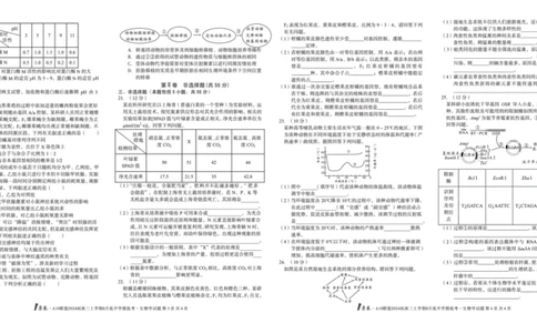 生物试题+答案(1)_2023年8月_028月合集_2024届1号卷&middot;A10联盟高三年级8月底开学摸底考试