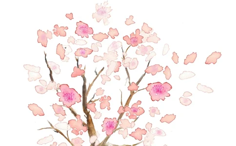 67_10000+PPT模板大礼包_大学生个人简历PPT模板_个人简历-Word版保存下载编辑_四页简历116款