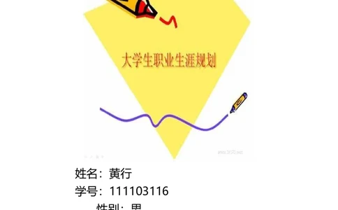 大学生职业生涯规划(给水排水工程)_E6-职业规划_26给排水专业