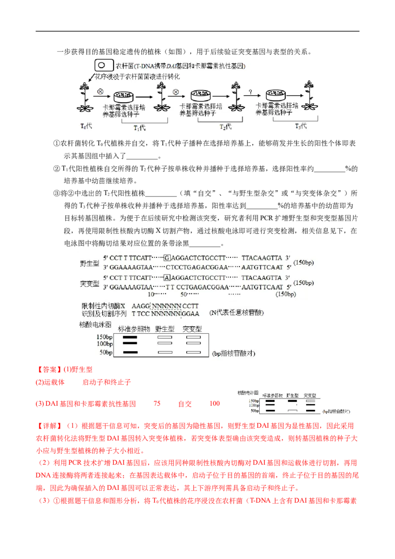 专题12变异、育种与进化-五年（2019-2023）高考生物真题分项汇编（全国通用）（解析版）_赠送：2008-2024全套高考真题_高考生物真题