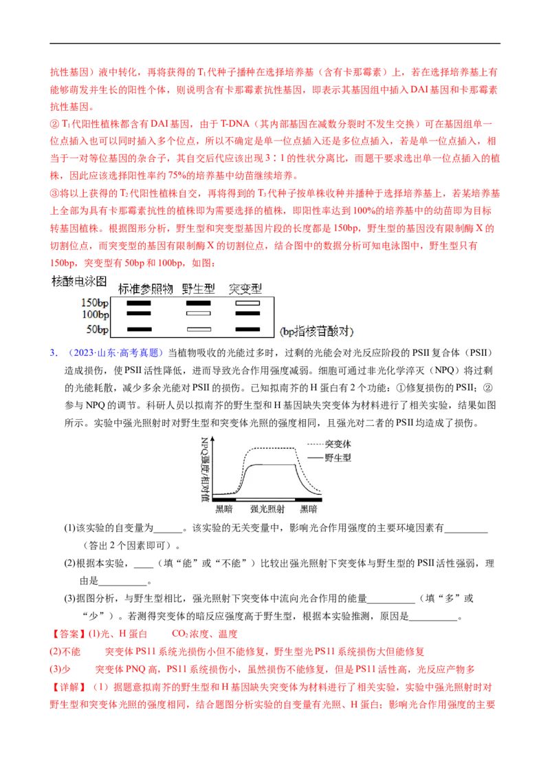 专题12变异、育种与进化-五年（2019-2023）高考生物真题分项汇编（全国通用）（解析版）_赠送：2008-2024全套高考真题_高考生物真题