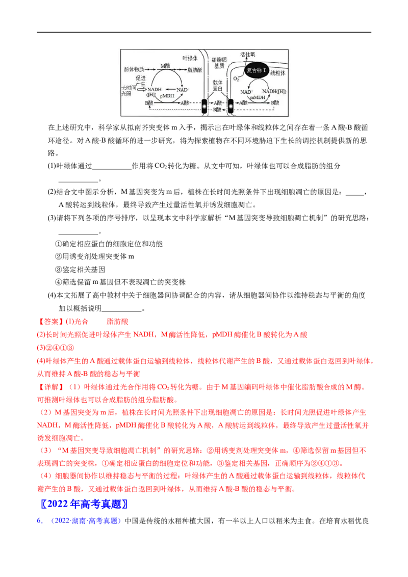 专题12变异、育种与进化-五年（2019-2023）高考生物真题分项汇编（全国通用）（解析版）_赠送：2008-2024全套高考真题_高考生物真题