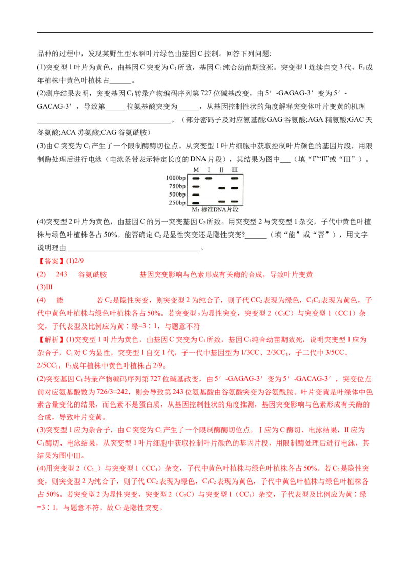 专题12变异、育种与进化-五年（2019-2023）高考生物真题分项汇编（全国通用）（解析版）_赠送：2008-2024全套高考真题_高考生物真题