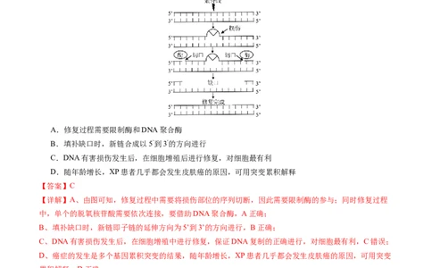 专题12变异、育种与进化-五年（2019-2023）高考生物真题分项汇编（全国通用）（解析版）_赠送：2008-2024全套高考真题_高考生物真题