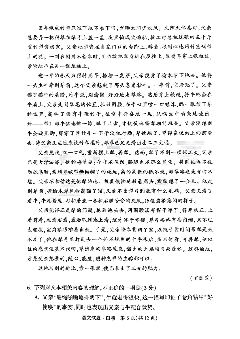 白卷语文_2024高考押题卷_32024腾远黑白卷_2024腾远高考黑白卷（新课标卷）_白卷