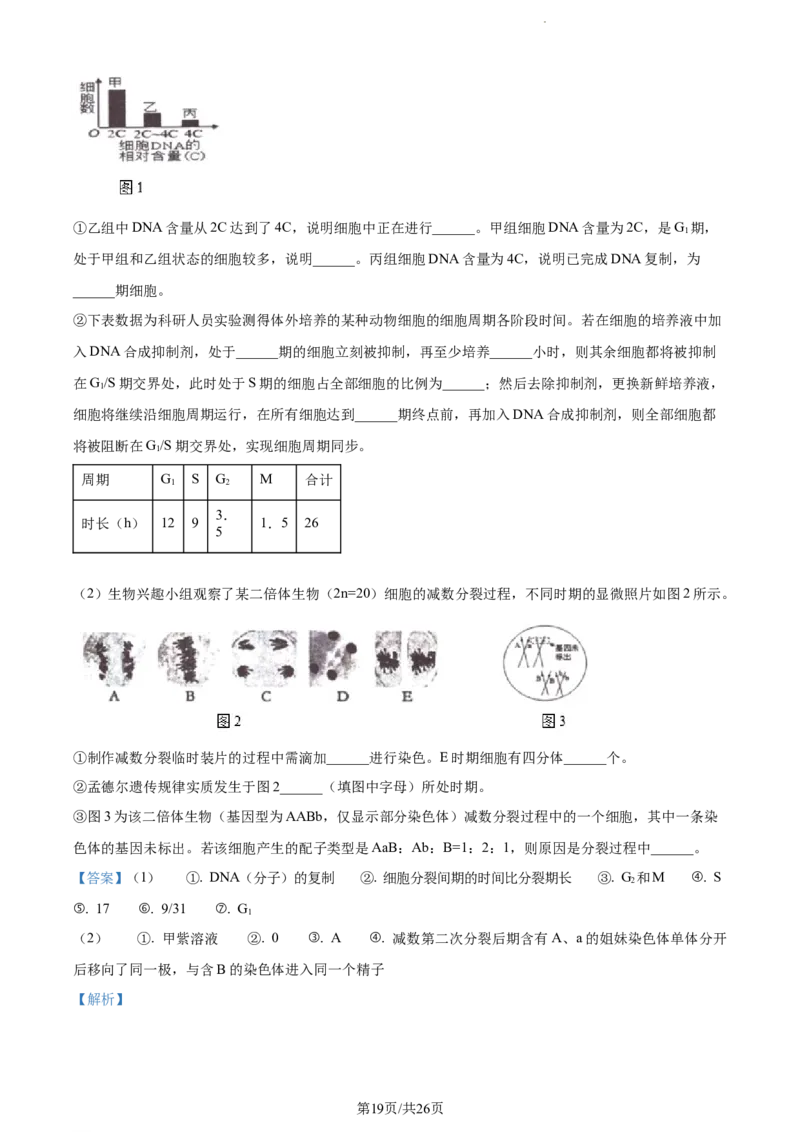 精品解析：江苏省淮安市6校2023-2024学年高三10月月考生物试题（解析版）(1)_2023年10月_0210月合集_2024届江苏省淮安市五校联盟高三上学期10月学情调查测试
