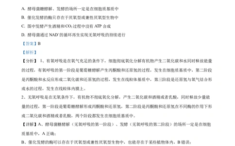 精品解析：江苏省淮安市6校2023-2024学年高三10月月考生物试题（解析版）(1)_2023年10月_0210月合集_2024届江苏省淮安市五校联盟高三上学期10月学情调查测试