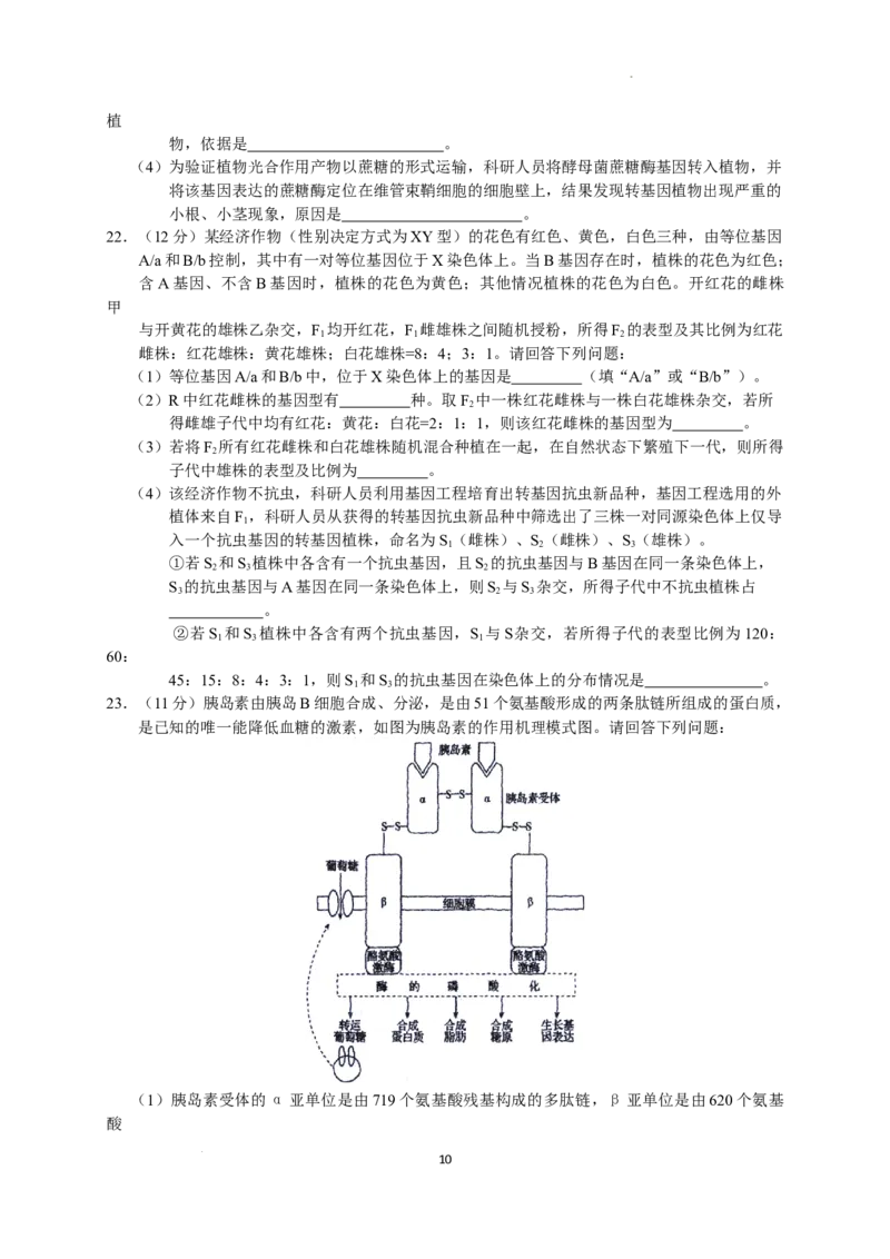 2023届河北省衡水中学高三下学期一调考试丨生物_2024年2月_01每日更新_14号_2023届河北省衡水中学高三下学期一调考试3月_2023届河北省衡水中学高三下学期一调考试3月生物