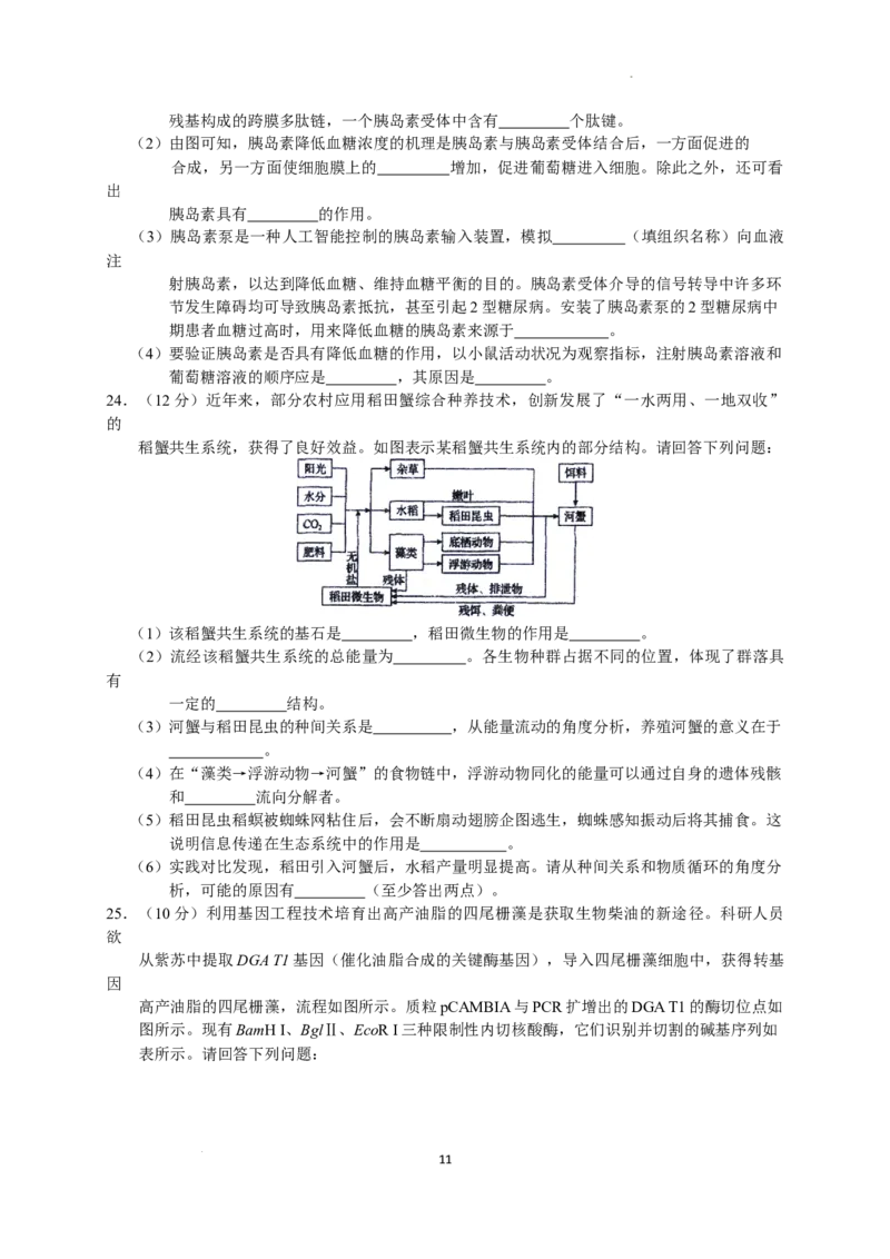 2023届河北省衡水中学高三下学期一调考试丨生物_2024年2月_01每日更新_14号_2023届河北省衡水中学高三下学期一调考试3月_2023届河北省衡水中学高三下学期一调考试3月生物