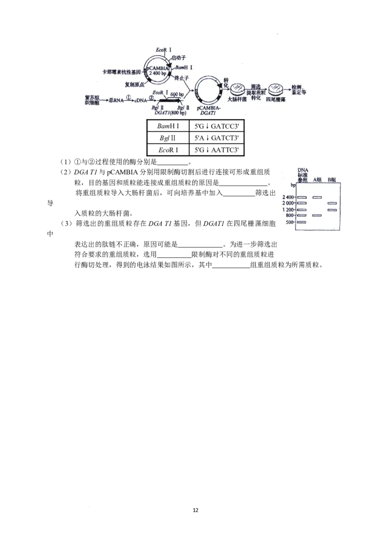 2023届河北省衡水中学高三下学期一调考试丨生物_2024年2月_01每日更新_14号_2023届河北省衡水中学高三下学期一调考试3月_2023届河北省衡水中学高三下学期一调考试3月生物