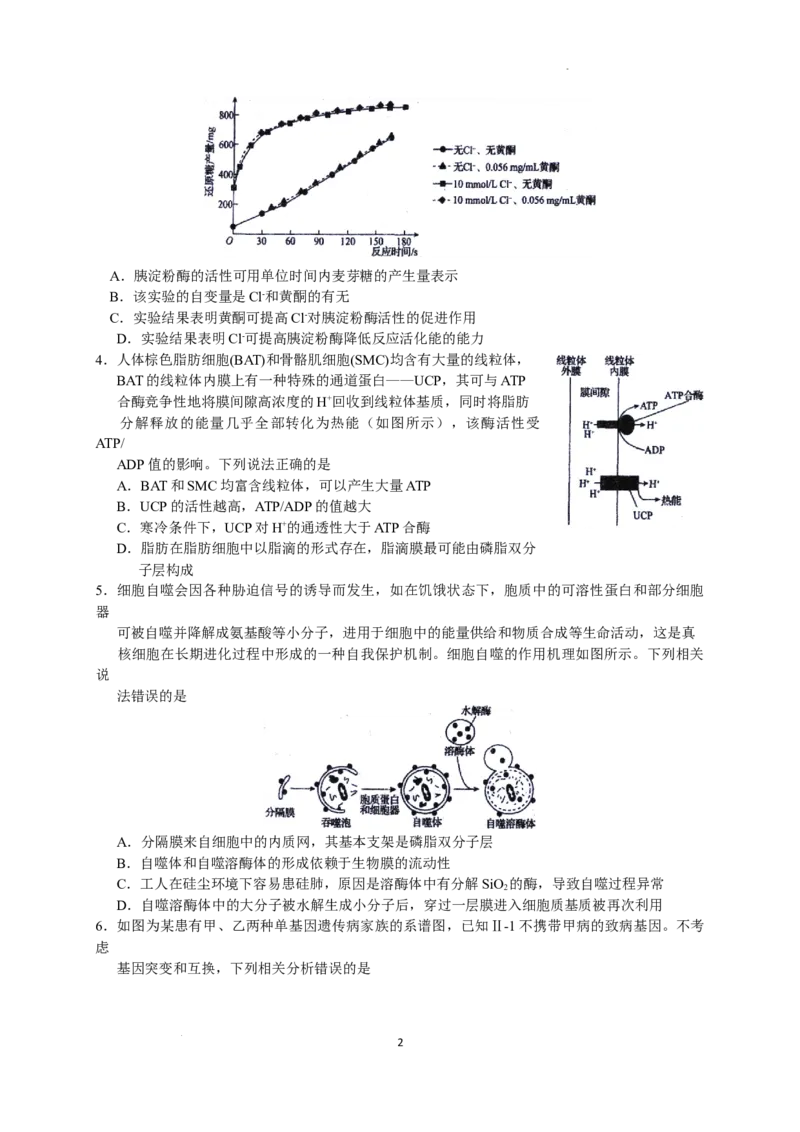 2023届河北省衡水中学高三下学期一调考试丨生物_2024年2月_01每日更新_14号_2023届河北省衡水中学高三下学期一调考试3月_2023届河北省衡水中学高三下学期一调考试3月生物