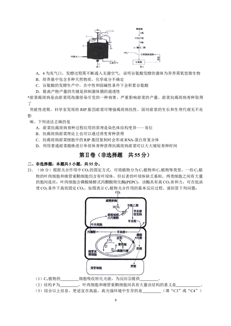 2023届河北省衡水中学高三下学期一调考试丨生物_2024年2月_01每日更新_14号_2023届河北省衡水中学高三下学期一调考试3月_2023届河北省衡水中学高三下学期一调考试3月生物
