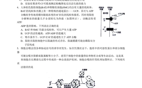 2023届河北省衡水中学高三下学期一调考试丨生物_2024年2月_01每日更新_14号_2023届河北省衡水中学高三下学期一调考试3月_2023届河北省衡水中学高三下学期一调考试3月生物