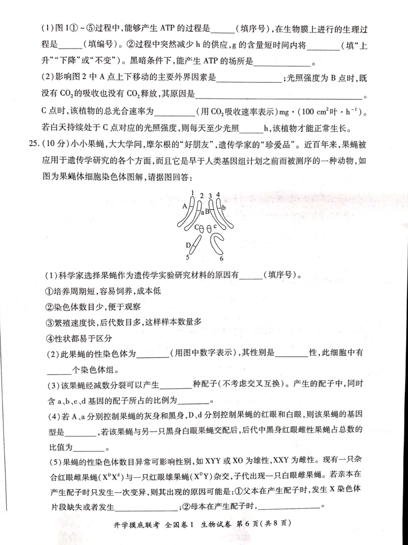 生物全国卷_2023年7月_01每日更新_23号_2023届百师联盟高三上学期开学摸底联考（全国卷）_2023百师联盟高三上学期开学摸底联考生物试题