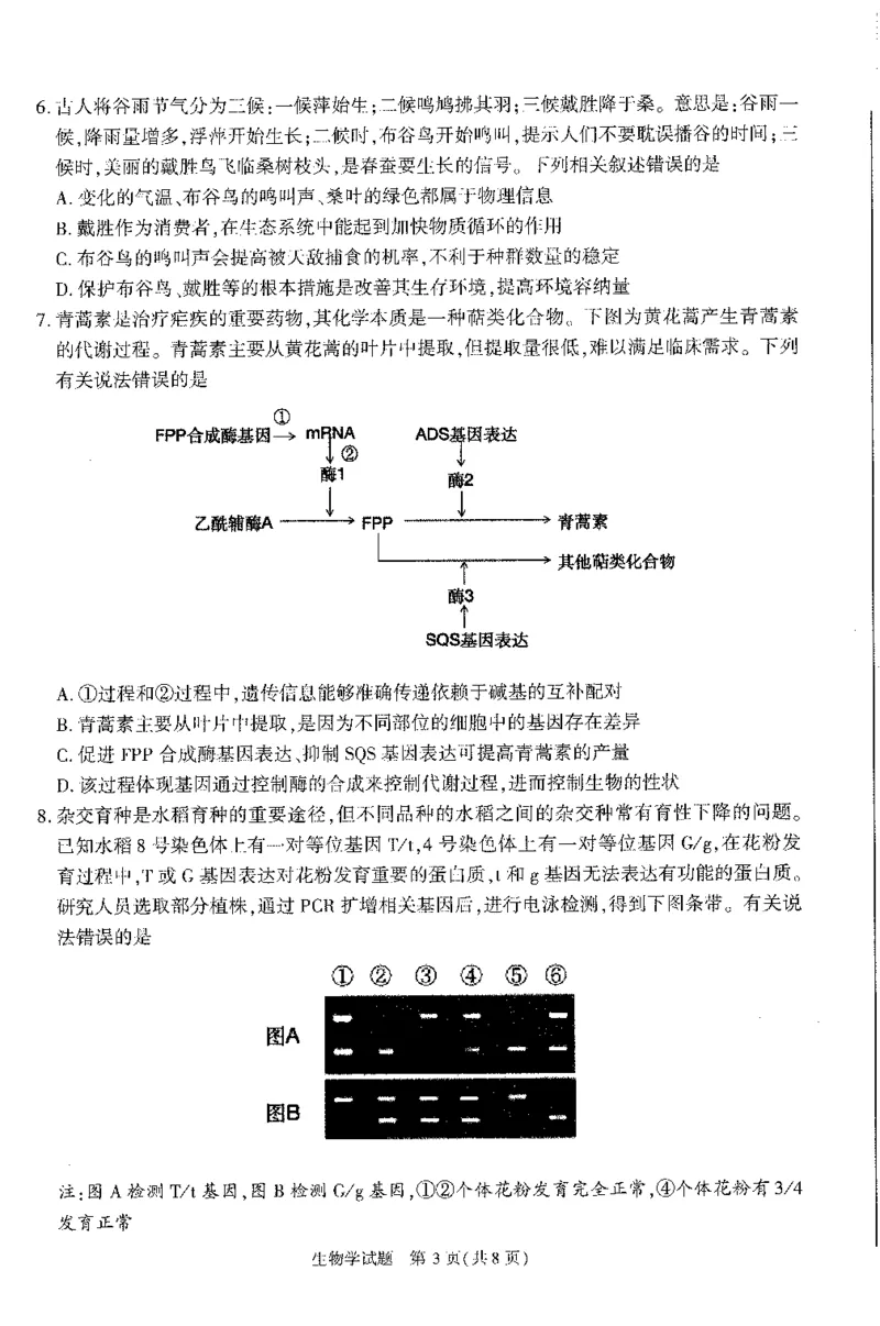 2024届安徽省合肥市高三一模生物试题_2024年3月_013月合集_2024届安徽省合肥市高三第一次教学质量检查_安徽省合肥市2024届高三第一次教学质量检查生物