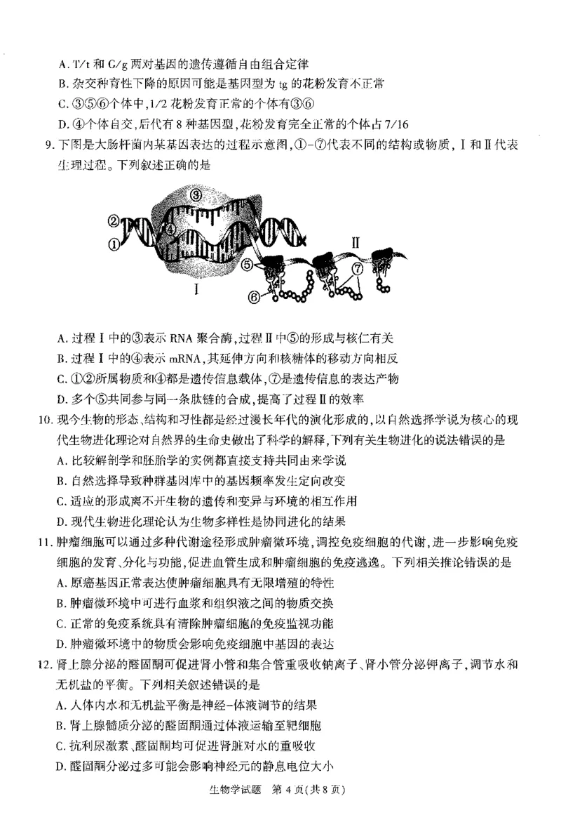 2024届安徽省合肥市高三一模生物试题_2024年3月_013月合集_2024届安徽省合肥市高三第一次教学质量检查_安徽省合肥市2024届高三第一次教学质量检查生物