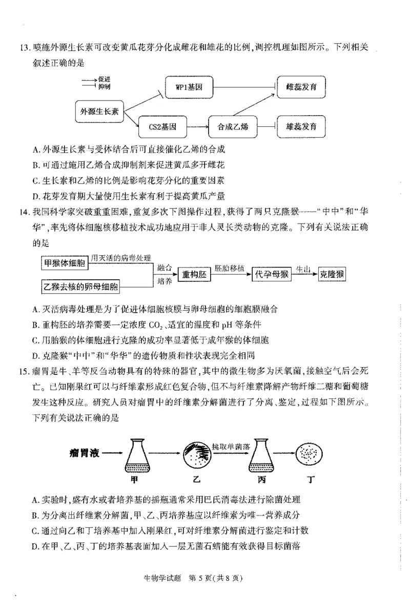 2024届安徽省合肥市高三一模生物试题_2024年3月_013月合集_2024届安徽省合肥市高三第一次教学质量检查_安徽省合肥市2024届高三第一次教学质量检查生物